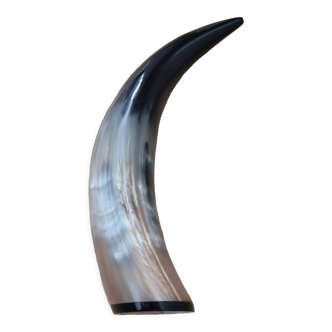 Decorative horn