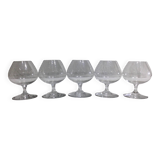 Baccarat – 5 verres à cognac