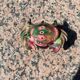 1950 crab salt shaker