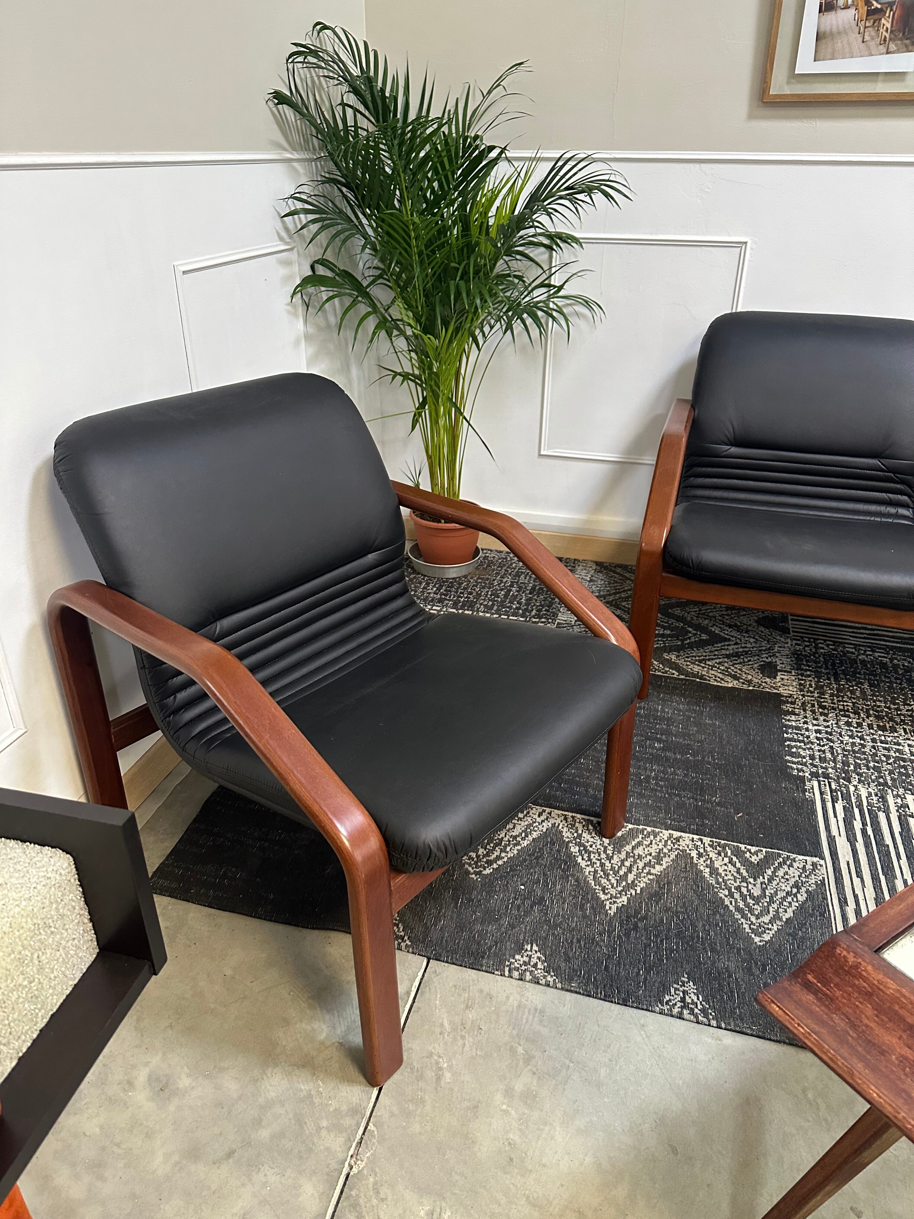 Design living room in black leather