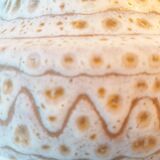 Teapot sandstone Jean Austruy