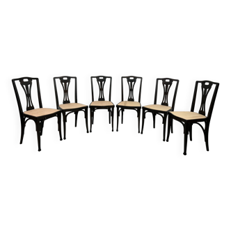 Set of 6 dining chairs no.319 by J&J Kohn