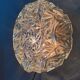 Moulded glass ceiling light from the 1960s.