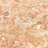 Fontana Arte coffee table by Dube Builio Barnabe, 1950s