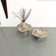 Pair of Italian marble coffee tables, circa 1970.