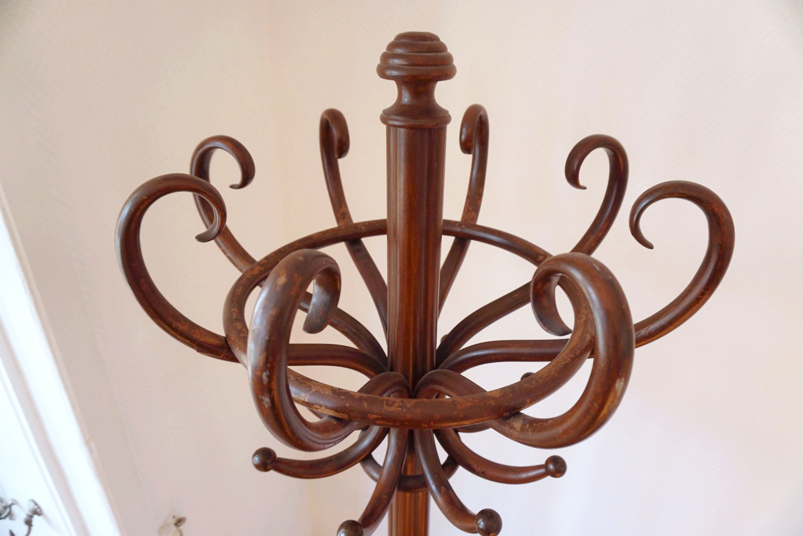 Porte-manteau perroquet de la marque Thonet