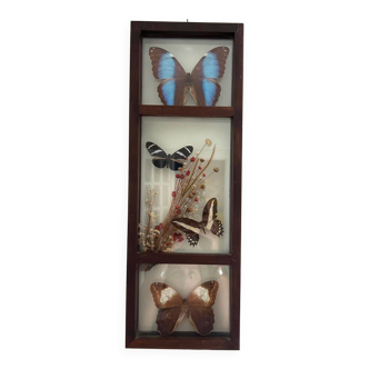 Frame with stuffed butterflies