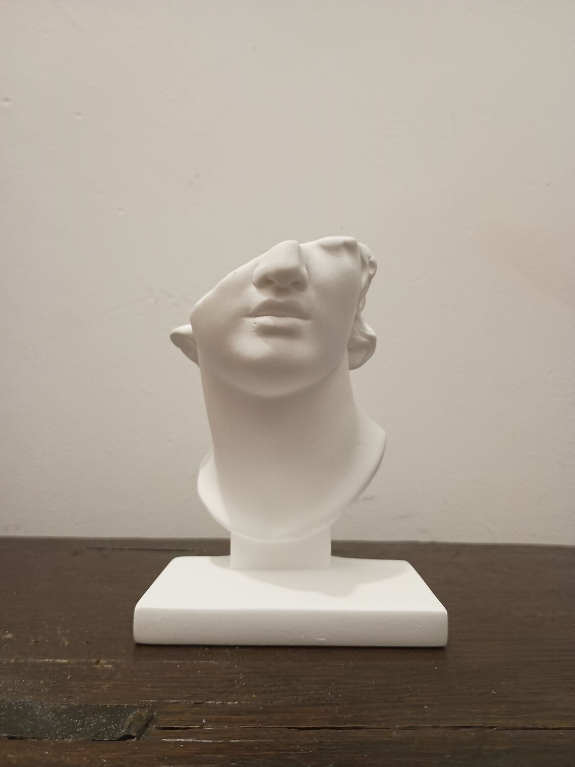 Plaster head