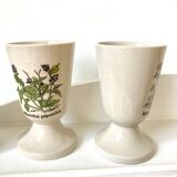 Herbarium sandstone vases