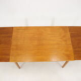 1960s Danish Extendable Dining Table in Oak