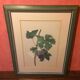 Former vignes botanical plank vintage green wood frame