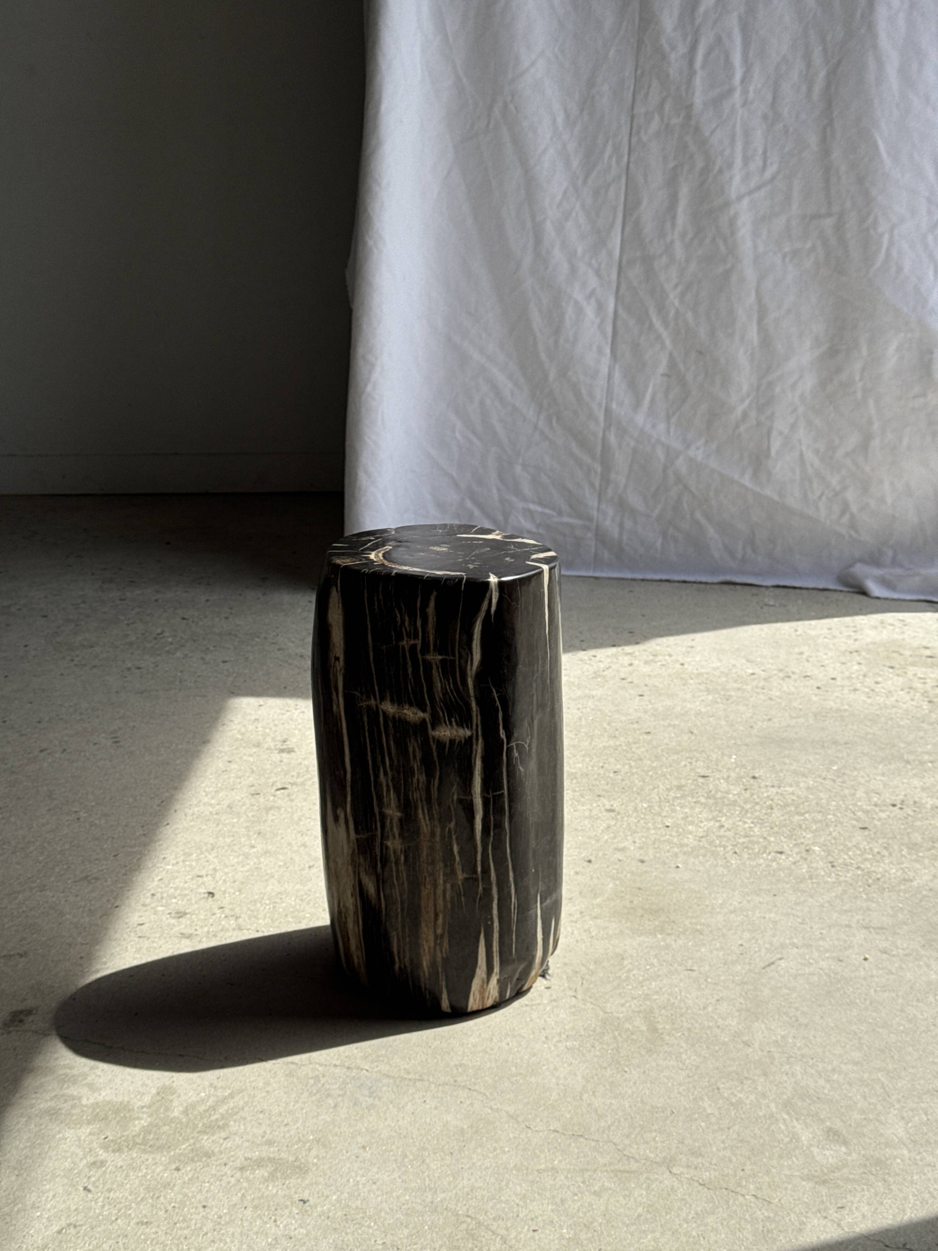 Table d'appoint en bois pétrifié noir