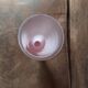 Passiflore  opaline  rose