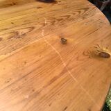 Harvester's table, pine harvest