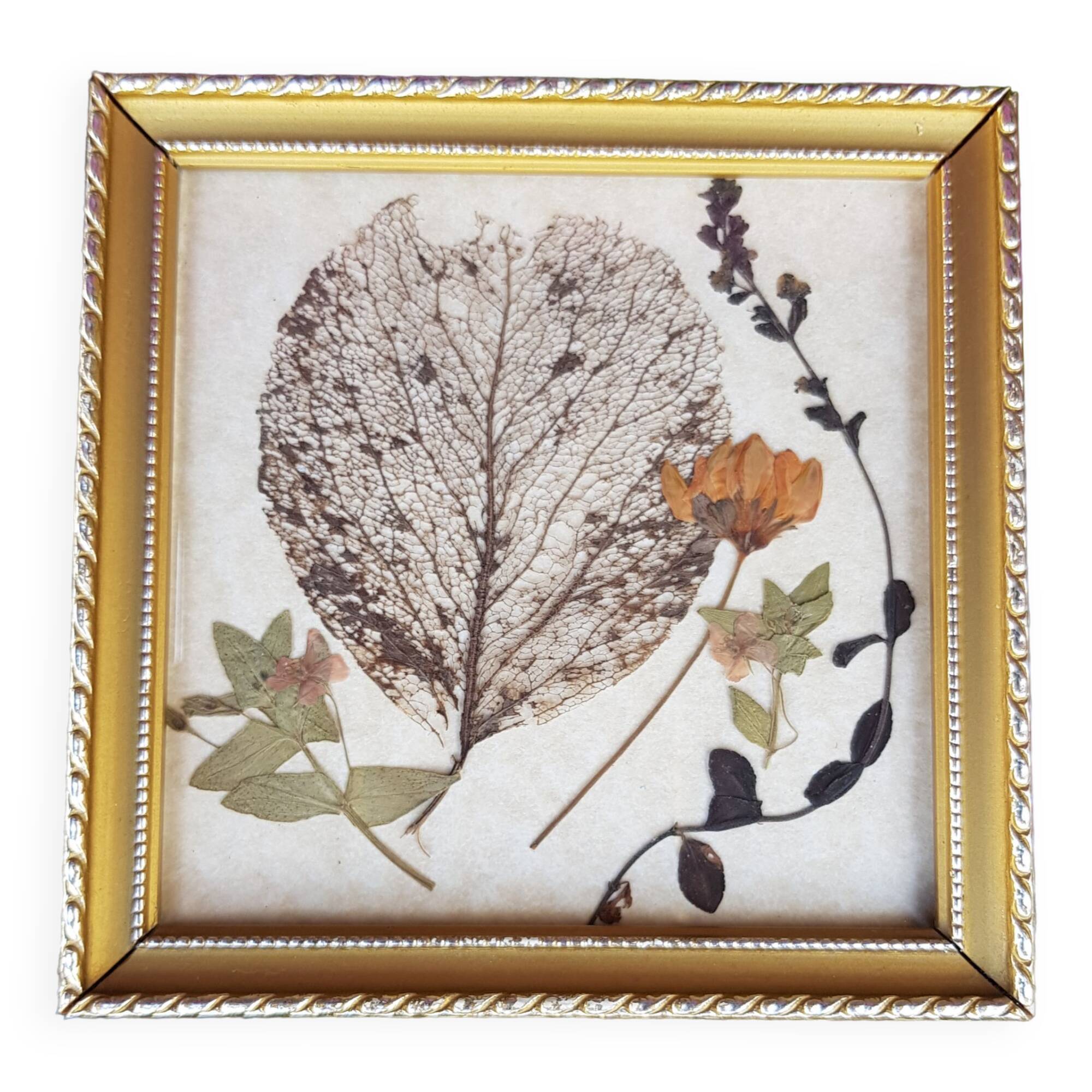 Cadre herbier