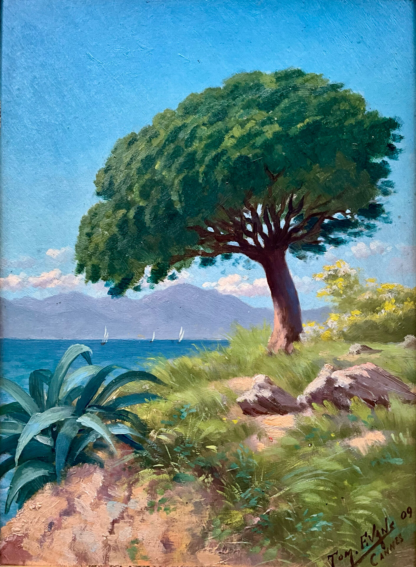 Oil on panel Cannes La Bocca 1909 signed Tom Evans
