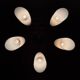 Lustre Stilnovo vintage, Italy 1940-50s, 1950s