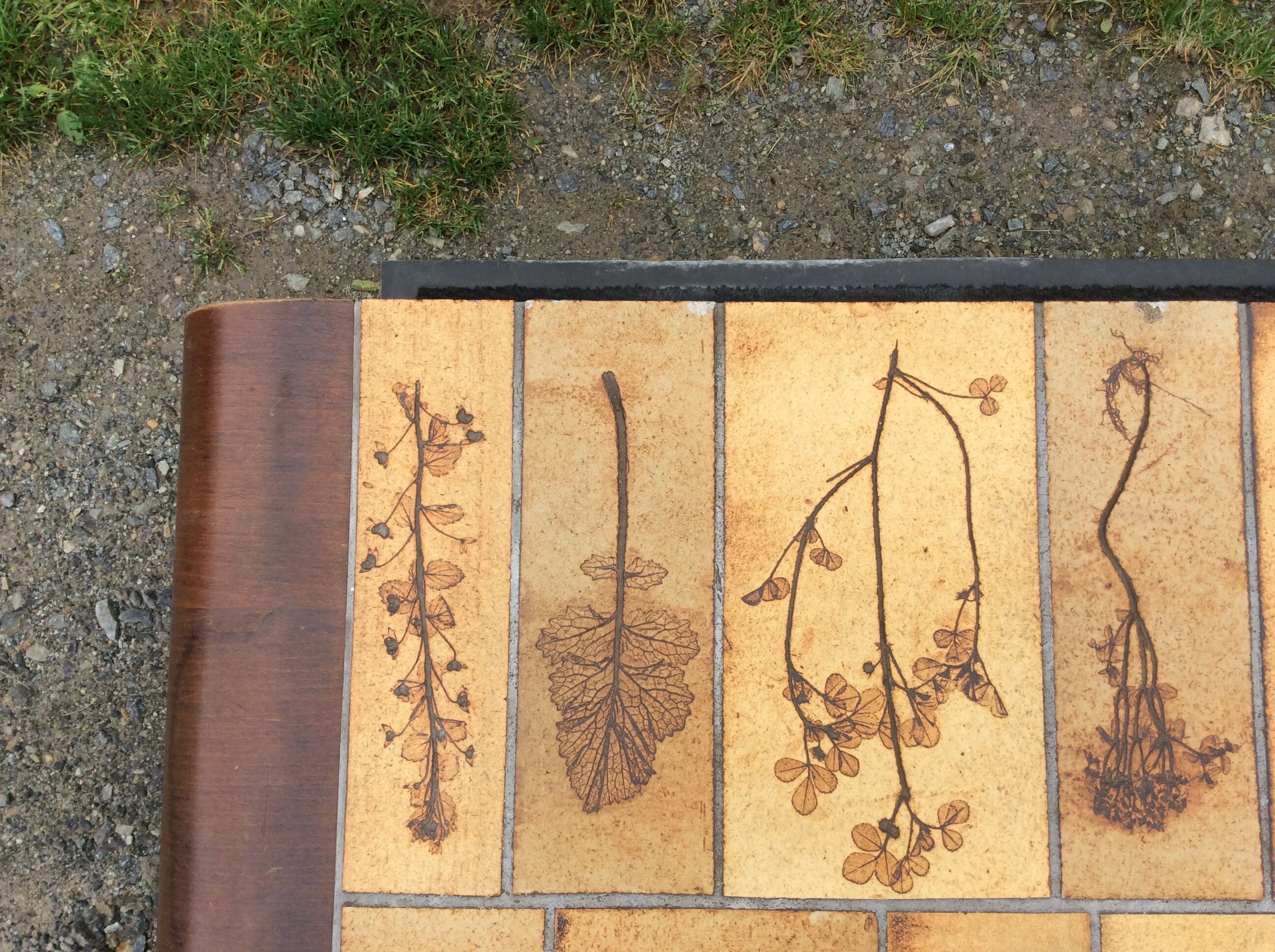 Vintage ceramic coffee table with Roger Capron style herbarium