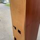 Louis Philippe wardrobe with a solid wood door.