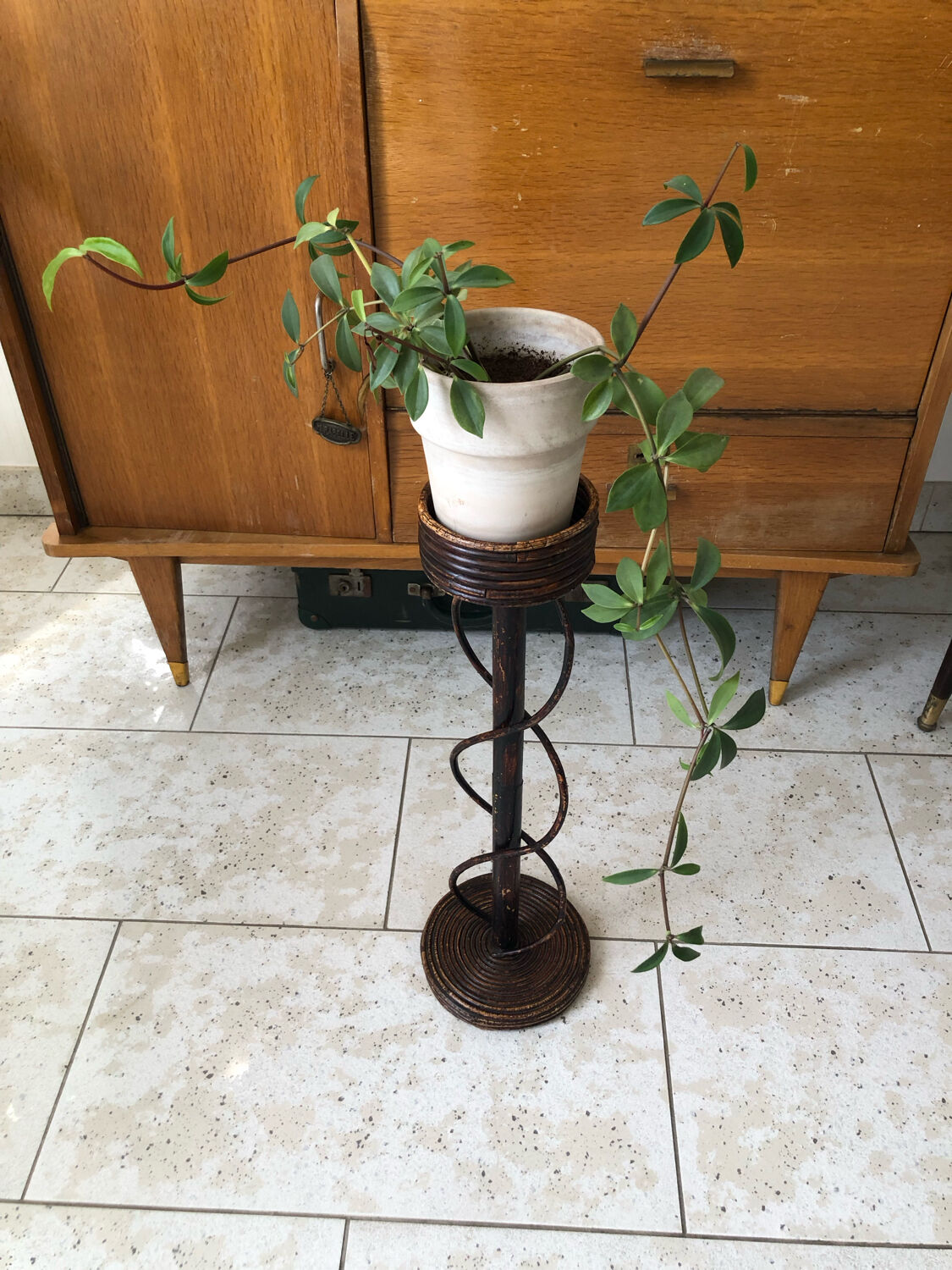 Plant holder in wicker vintage