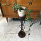 Plant holder in wicker vintage