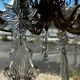 Crystal and bronze chandelier