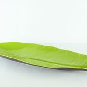 Coupe feuille palme céramique Lunéville 1980