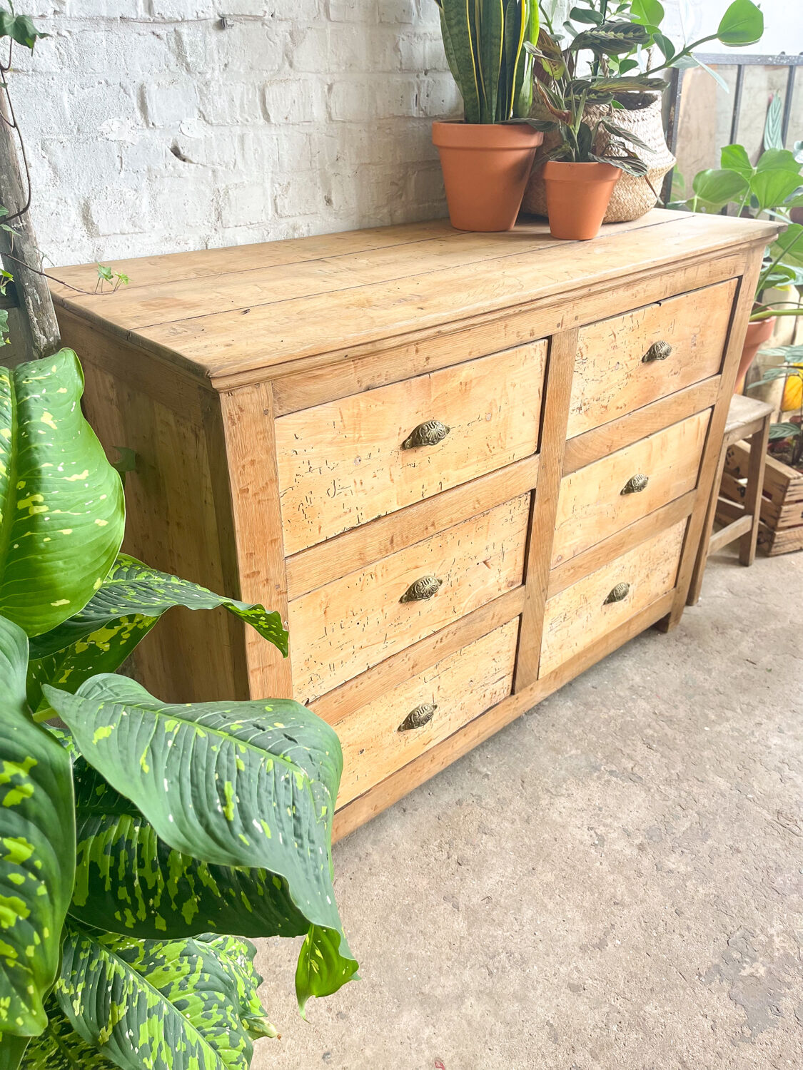 Old haberdashery furniture