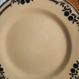 Plate iron earth Salins