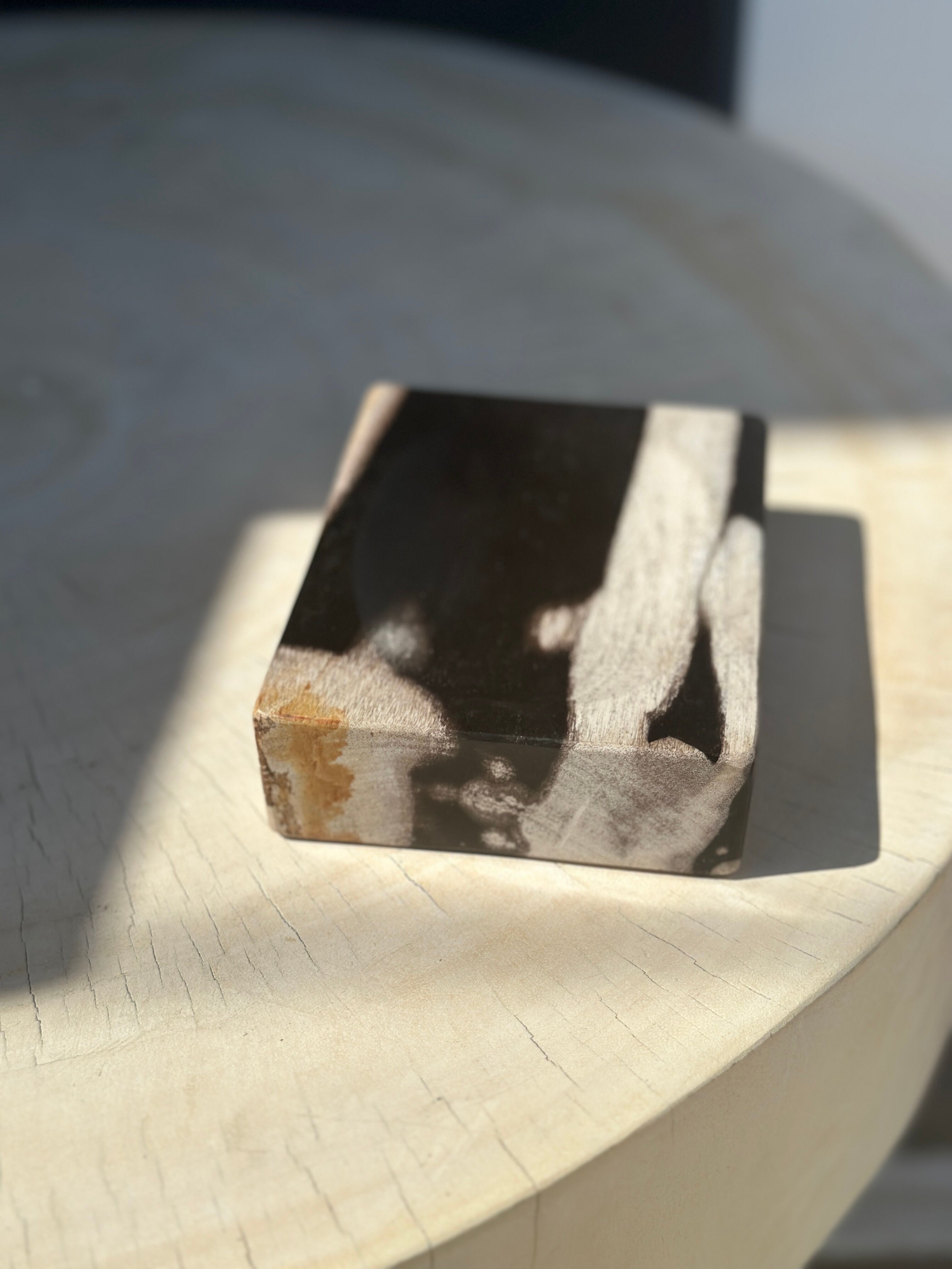 Symmetrical multicolored petrified wood soap dish