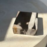 Symmetrical multicolored petrified wood soap dish