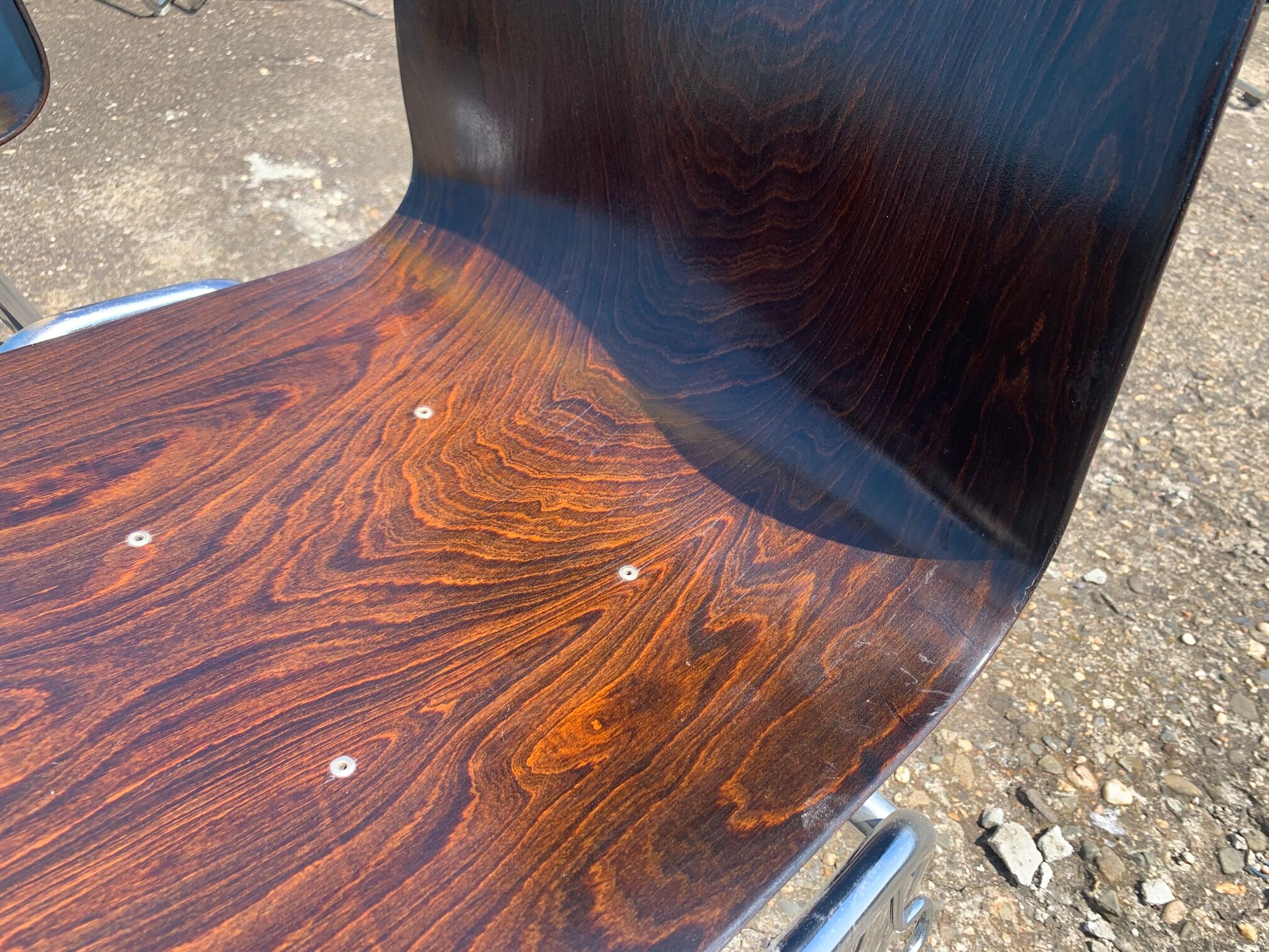 Set of 2 Galvanitas S26 Pagholz chairs, 1960s