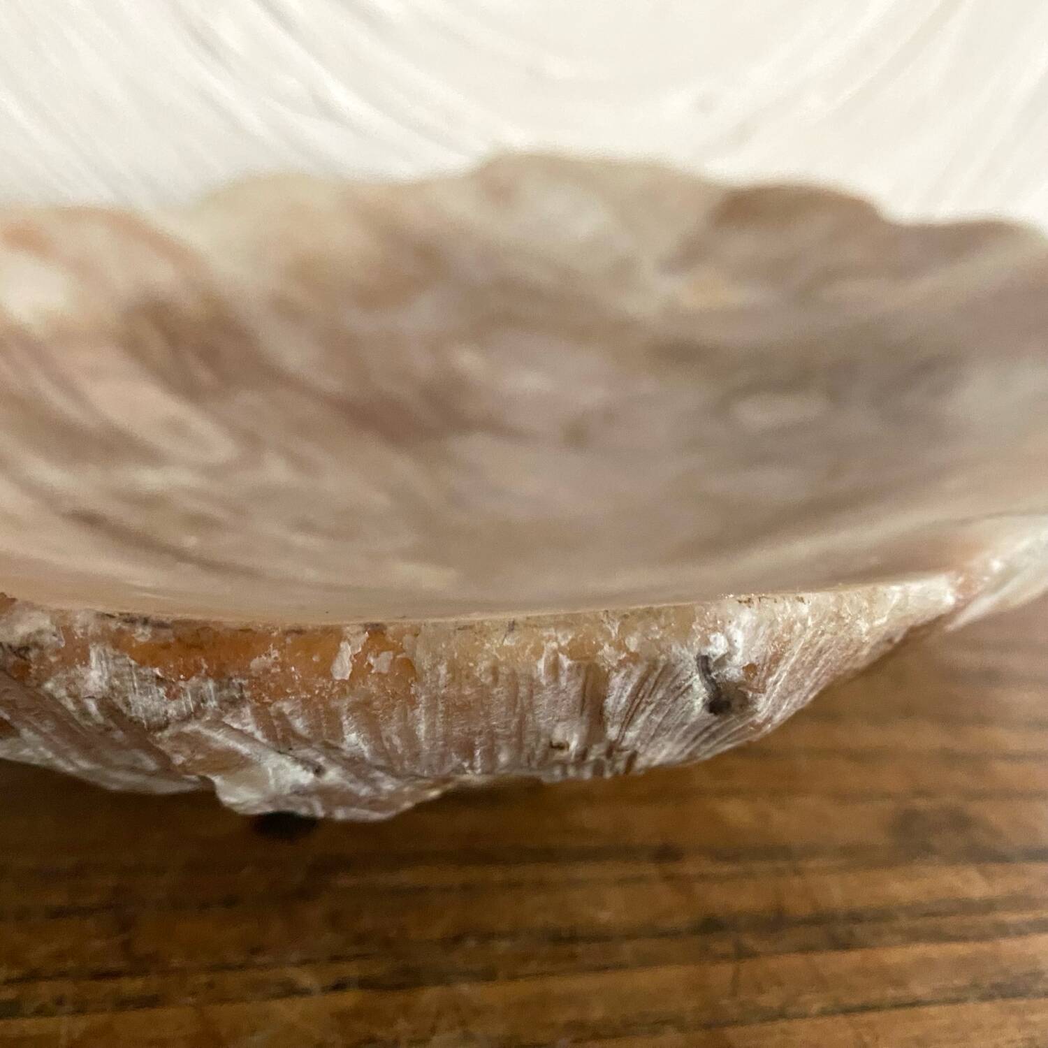 Cup, centerpiece in alabaster, Italy