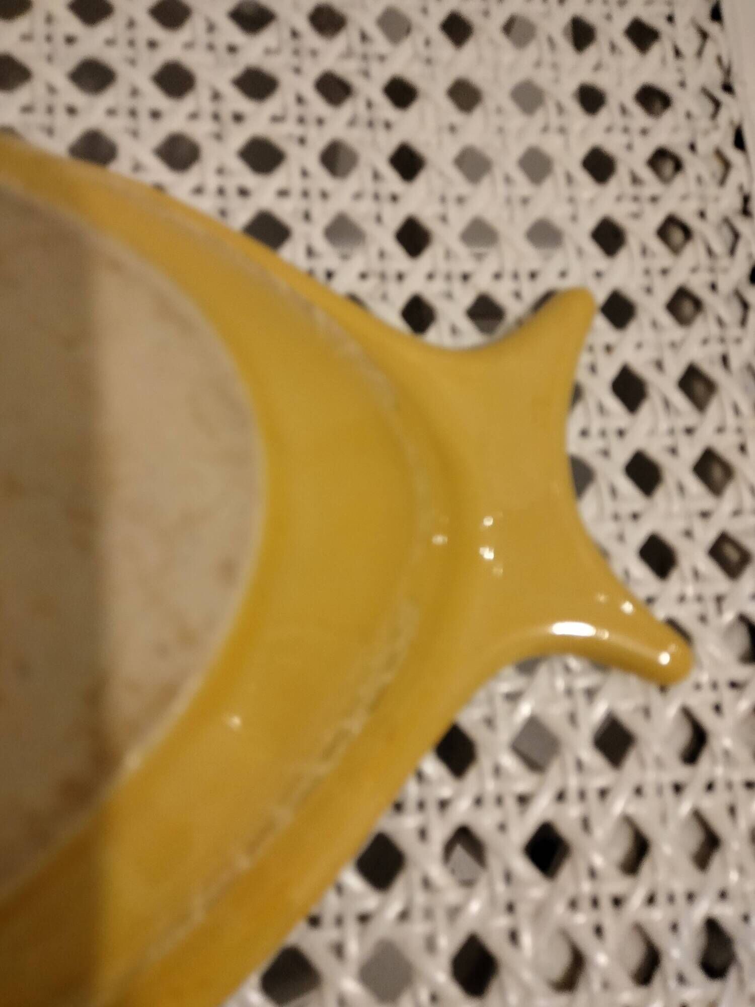 Plat ou moule de cuisson vintage en forme poisson Appolia France