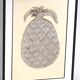Anador gold and silver lamp with pineapple, 80s
