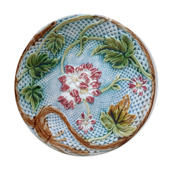 Dabbling plate