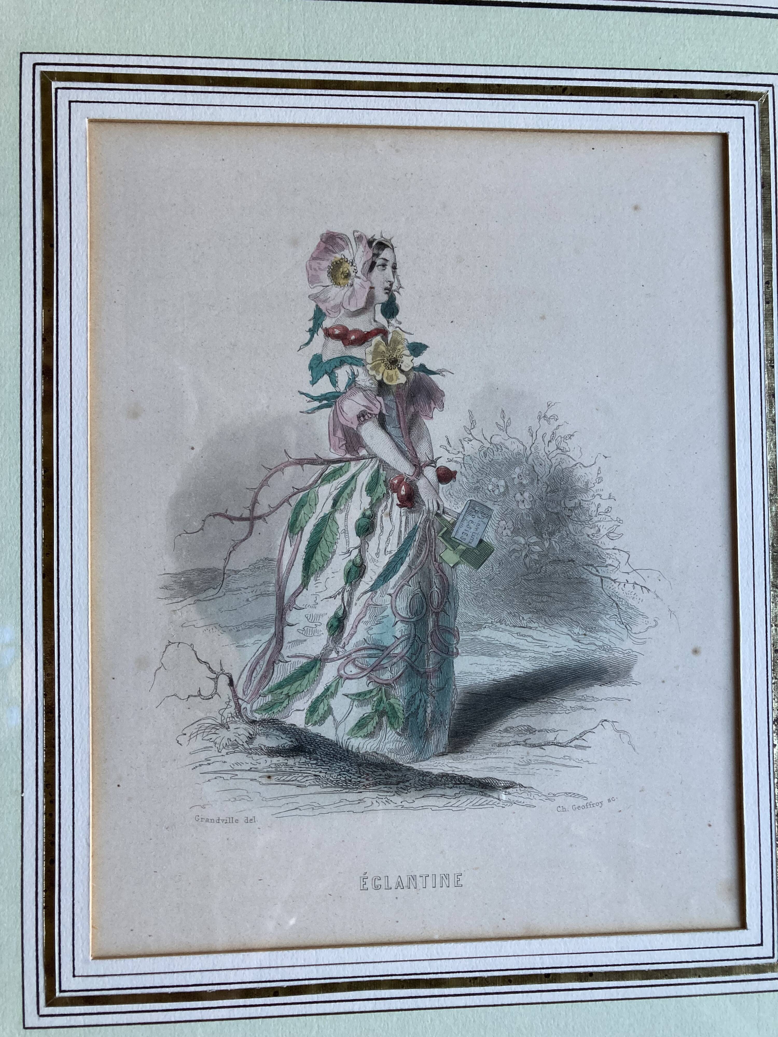 Framed engravings "animated flowers" - JJ Grandville