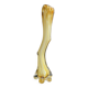 Verrerie d’art italien - Grand vase soliflore "Sommerso" de Murano