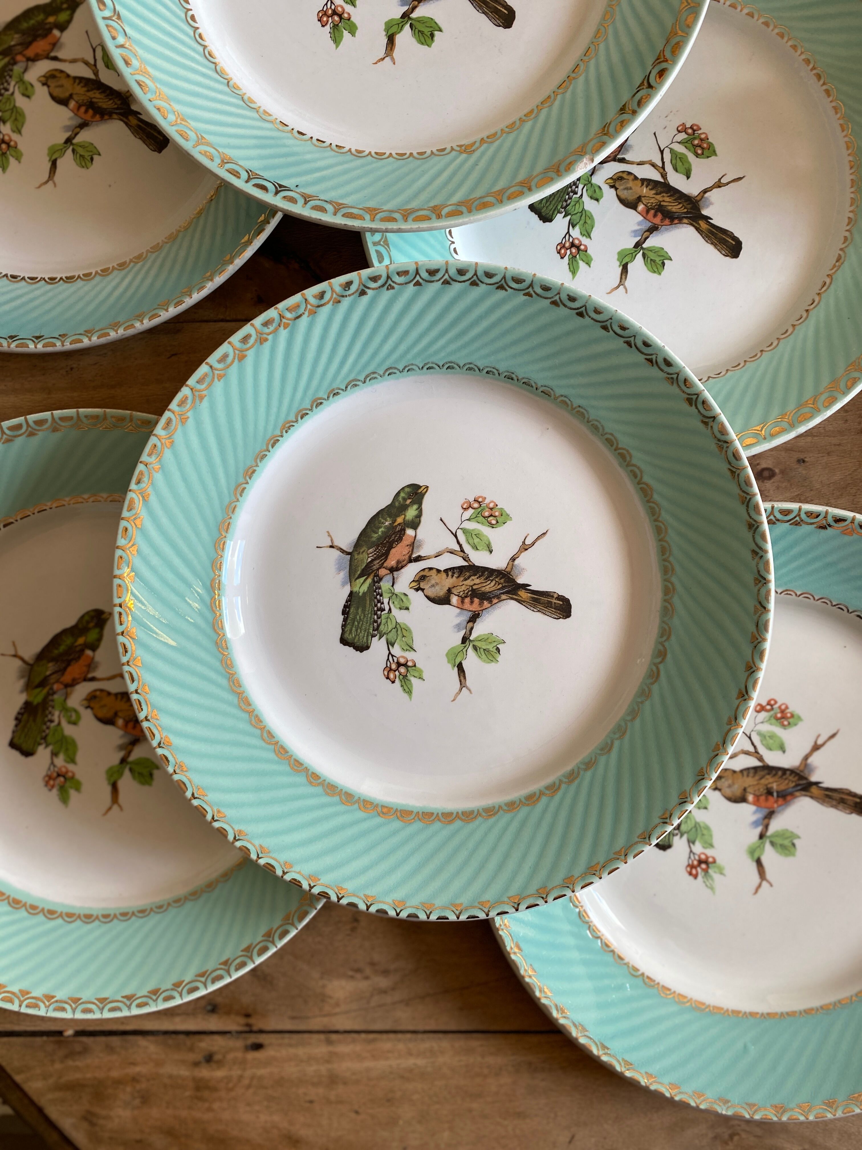 Set of 10 vintage flat plates with bird drawings