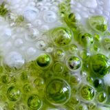 Lampe suspendue en verre à bulles géantes aux éclaboussures vertes par Marinha Grande