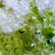 Giant green splatter bubble glass hanging lamp by Marinha Grande