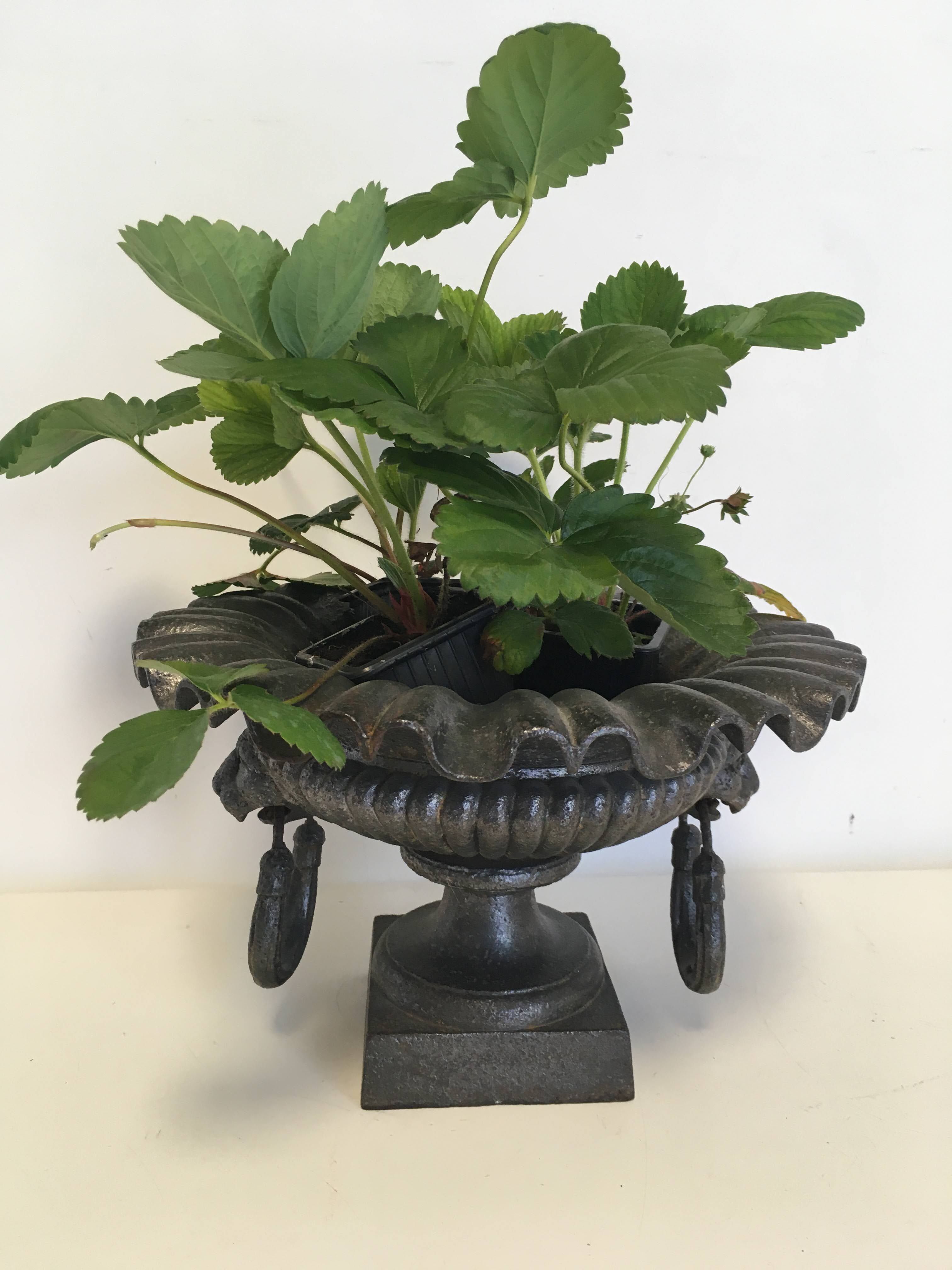 Cast-iron Medici vase