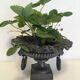 Cast-iron Medici vase