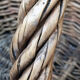 Panier de vendange