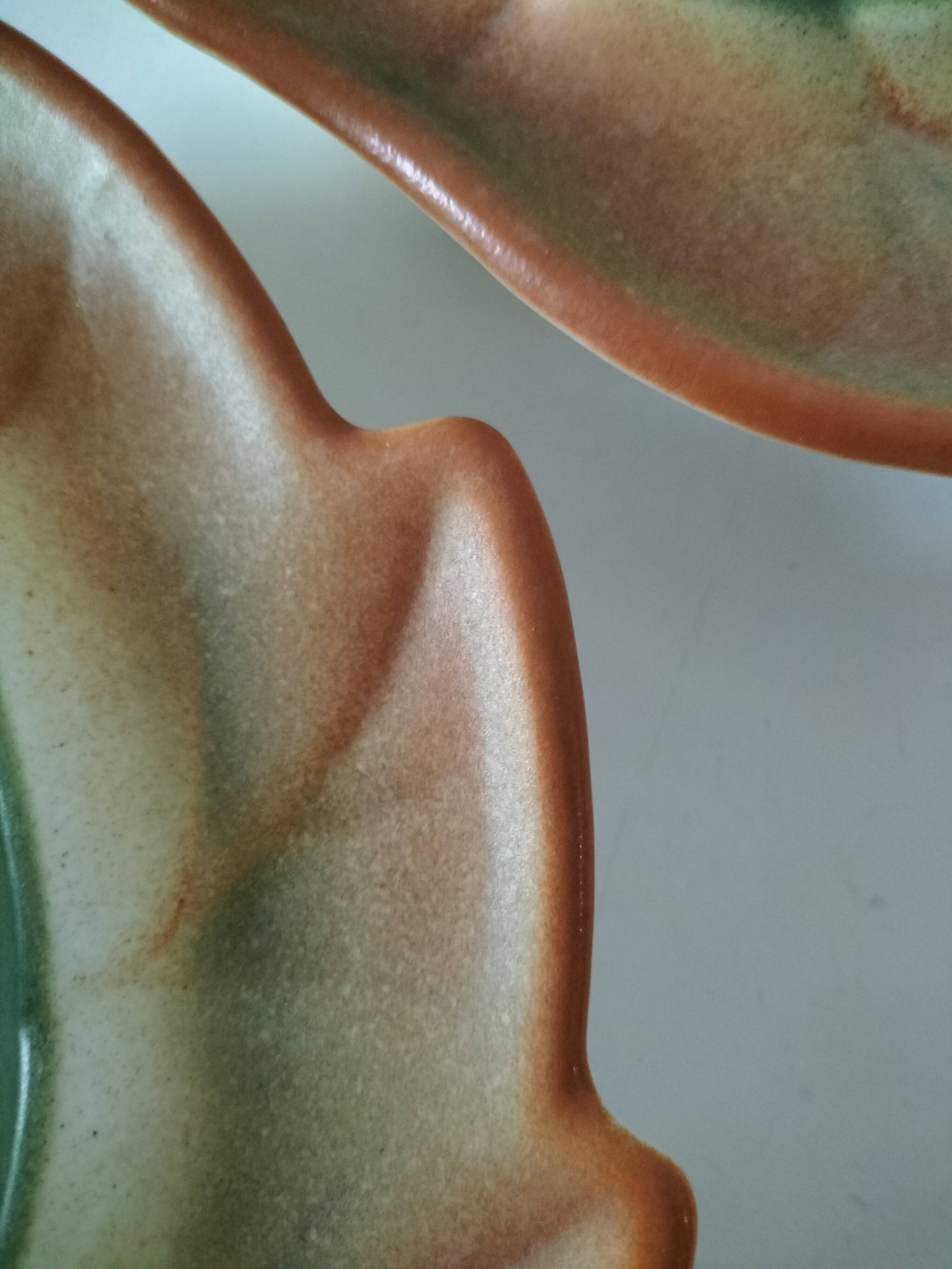 Pair of biomorphic bowls Salins France moss green, 1950s