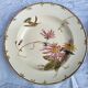 Lot of 4 hummingbird soup plates 1875