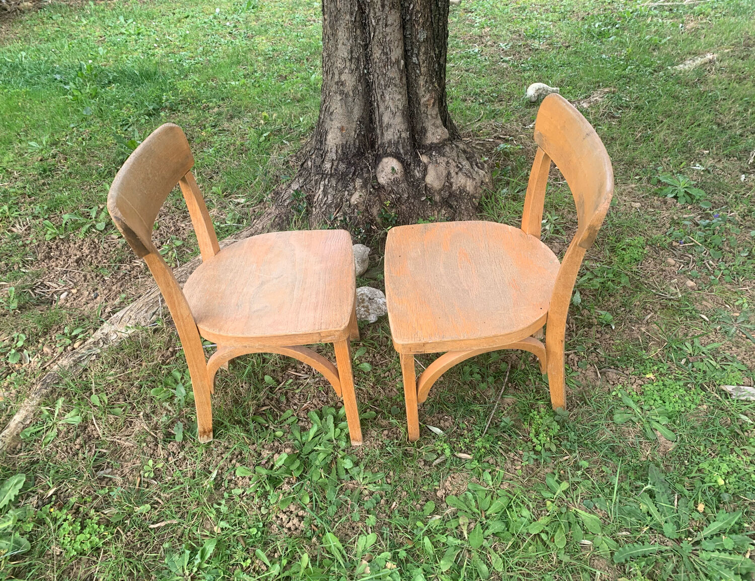 Stella school chairs
