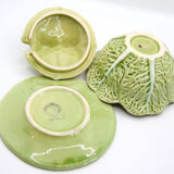 Mustard bush slurry light green cabbage leaf