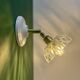 Vintage glass cut lampshade - tableware collection (APPV01)