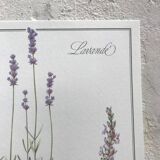Botanical board lavender
